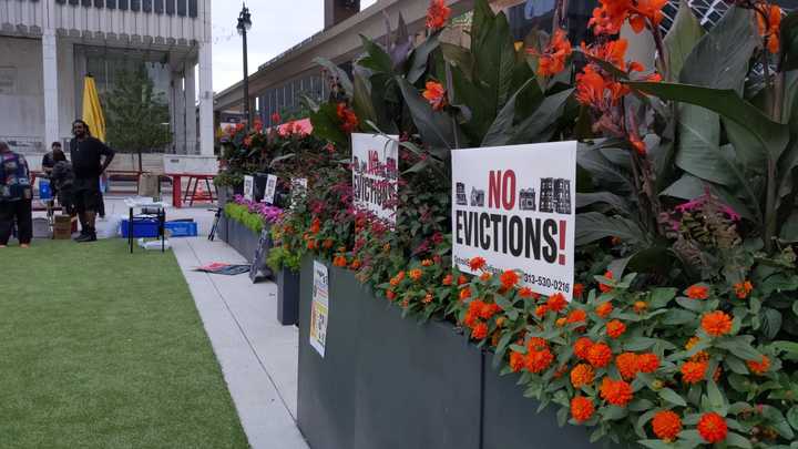 Two yard signs that say “No evictions! Detroit Eviction Defense. 313-530-0216” in tall flower boxes. 